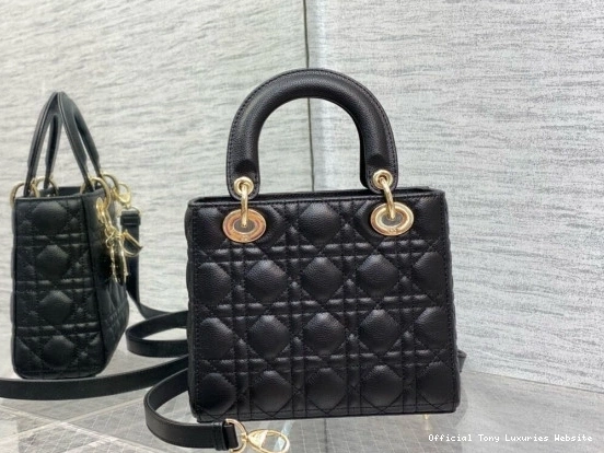 Tony Luxuries SmallCalfskin-20-16.5-8CM Lady diro 0805